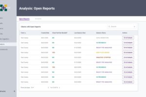 Analysis 01 – open reports ready for analysis