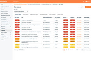 Risk Manager - Risk Issues