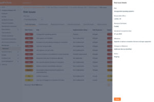 Risk Manager - Risk Issues - Details